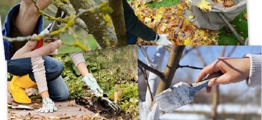 Сезонный уход за садом: что делать весной, летом и осенью